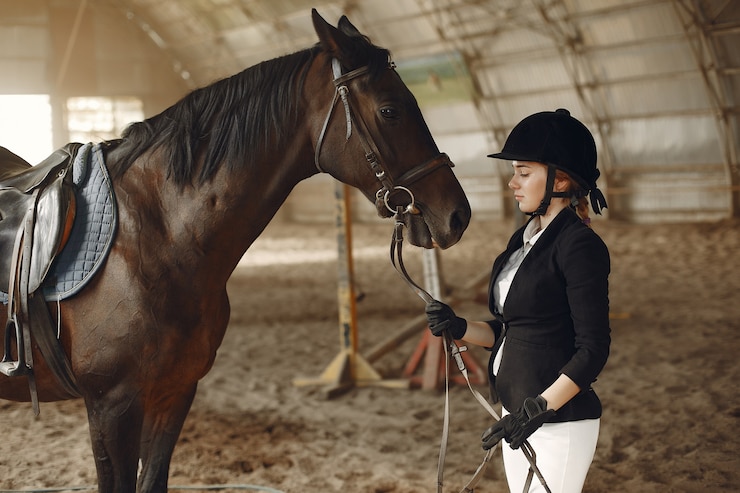 horse behavior training